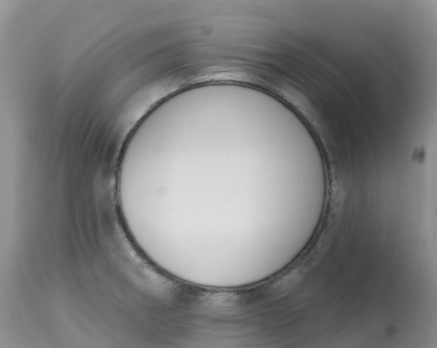 X0000113101282200909111043