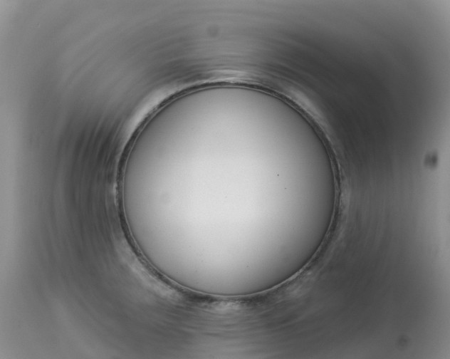 X0000113101283200909111043