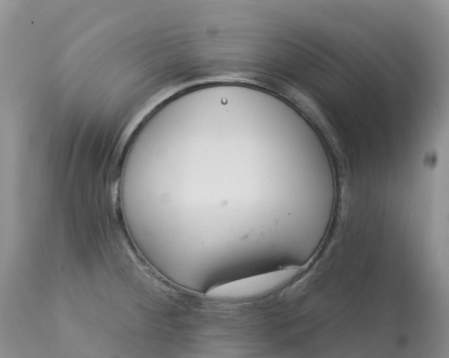 X0000113101284200909111042