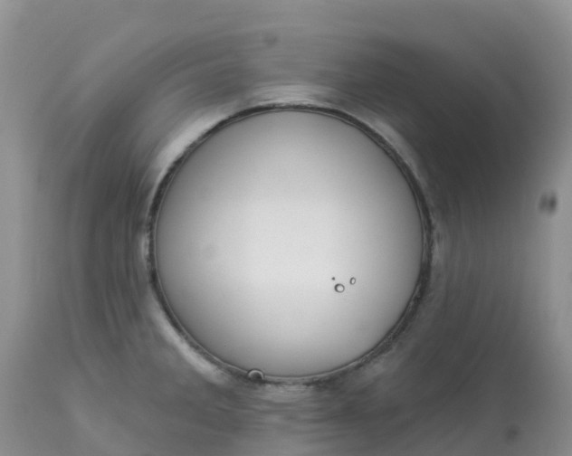 X0000113101285200909111042