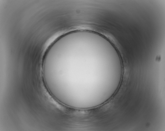 X0000113101286200909111042