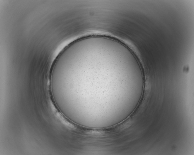 X0000113101287200909111042