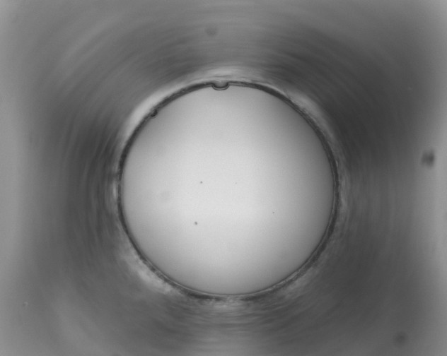 X0000113101288200909111042