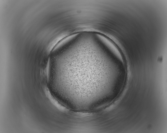 X0000113101289200909111042