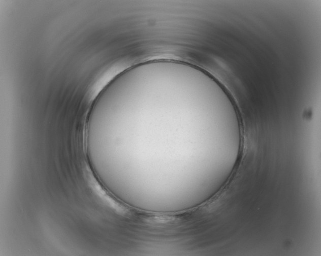 X0000113101290200909111042