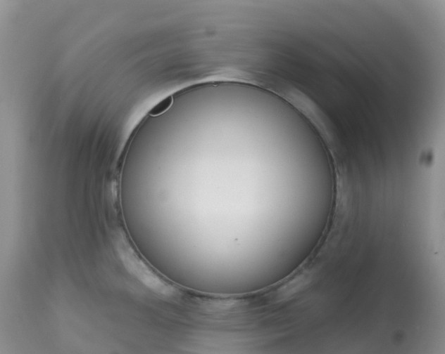 X0000113101292200909111042