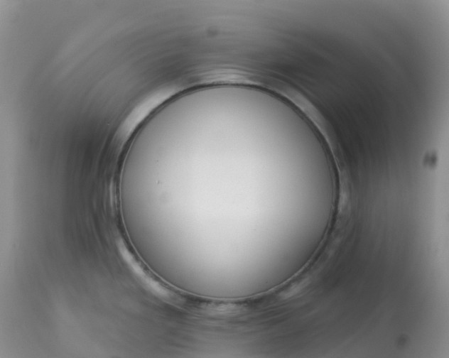 X0000113101293200909111042