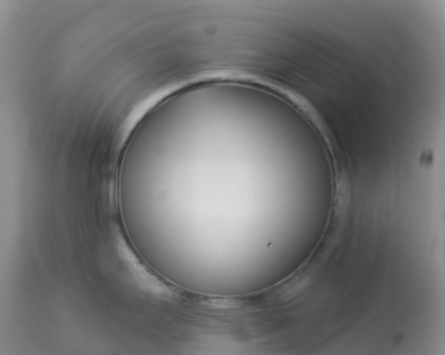 X0000113101295200909111042
