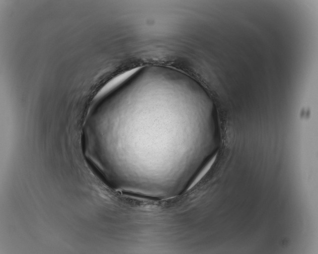 X0000113101297200909111041