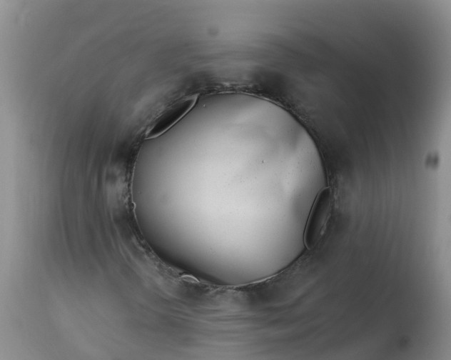 X0000113101298200909111041