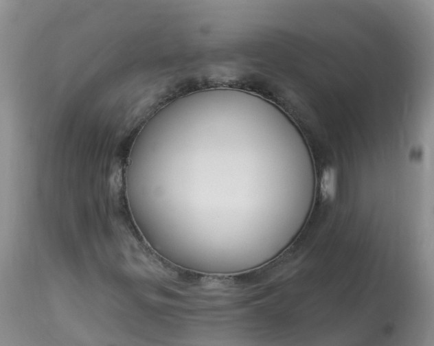 X0000113101299200909111041