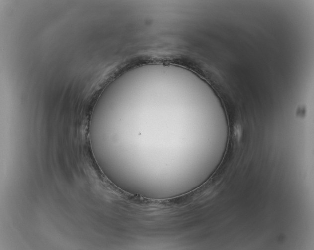 X0000113101300200909111041