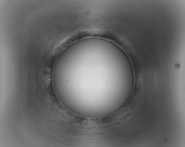 X0000113101301200909111041