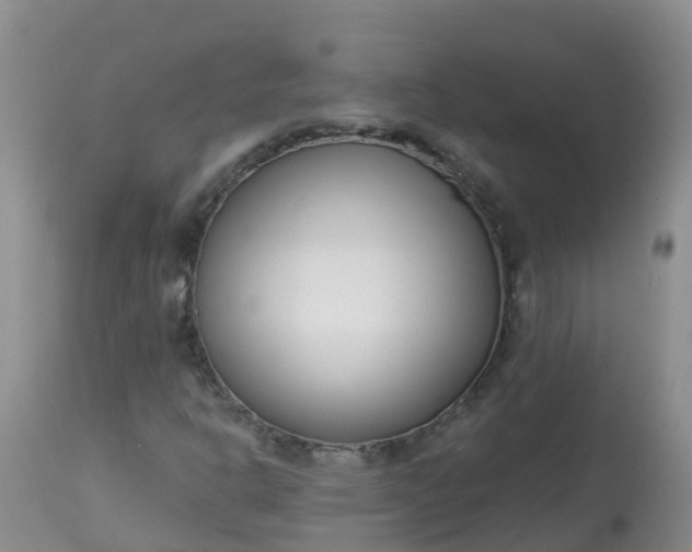 X0000113101302200909111041