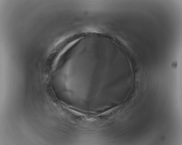 X0000113101303200909111042