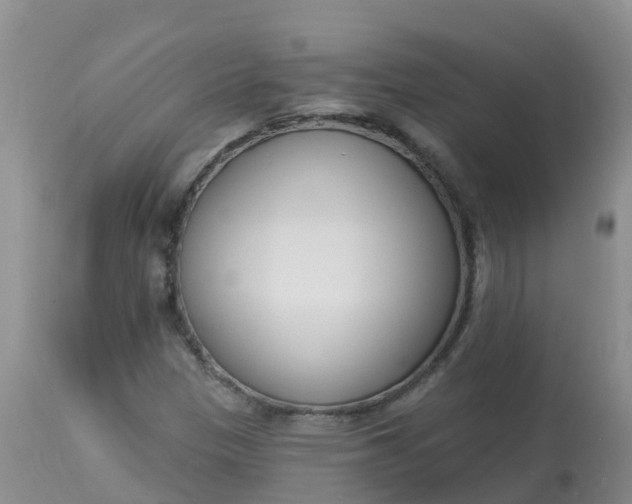X0000113101305200909111042