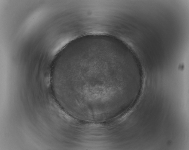 X0000113101306200909111042