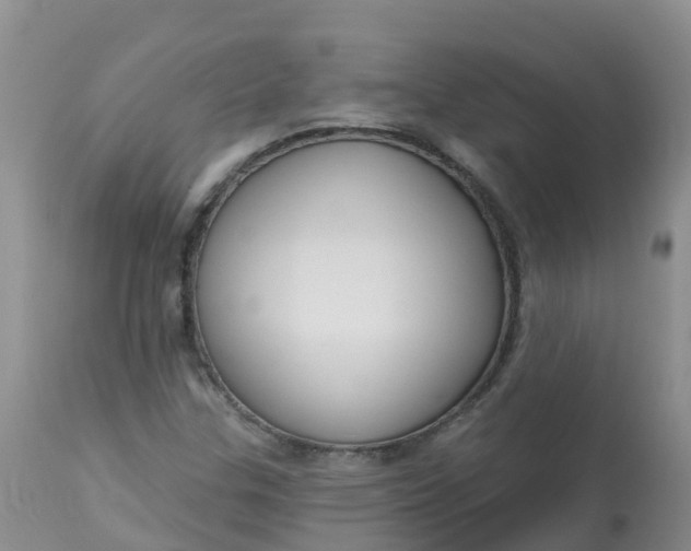 X0000113101307200909111042