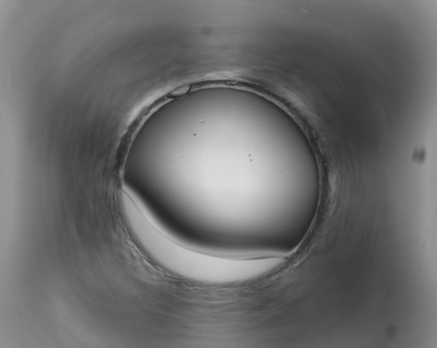 X0000113101308200909111042