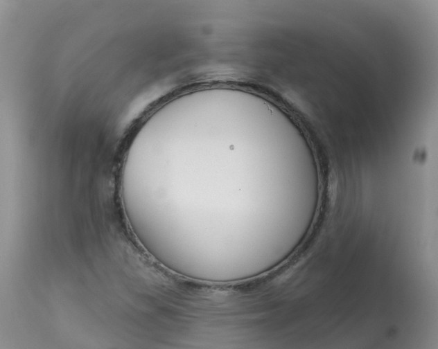 X0000113101309200909111042