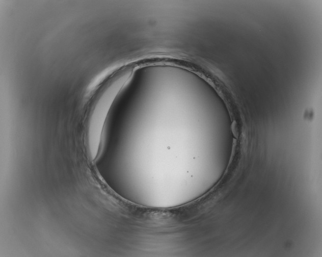 X0000113101310200909111042