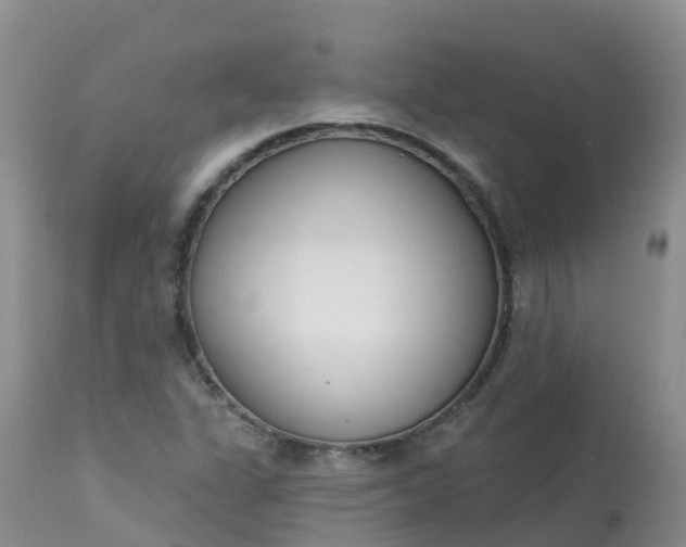 X0000113101311200909111042