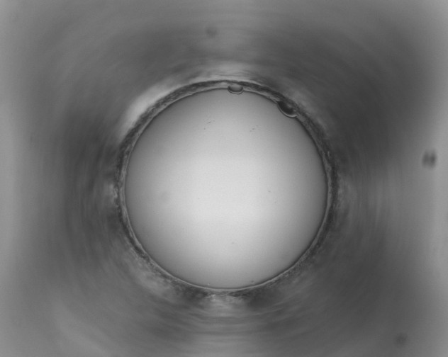 X0000113101312200909111042