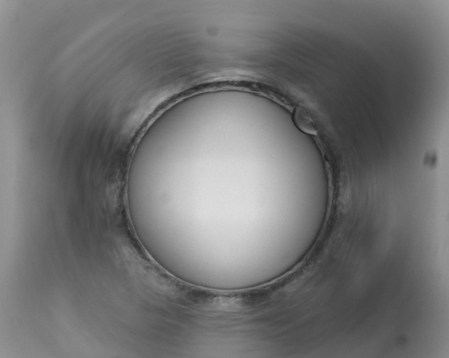 X0000113101313200909111042