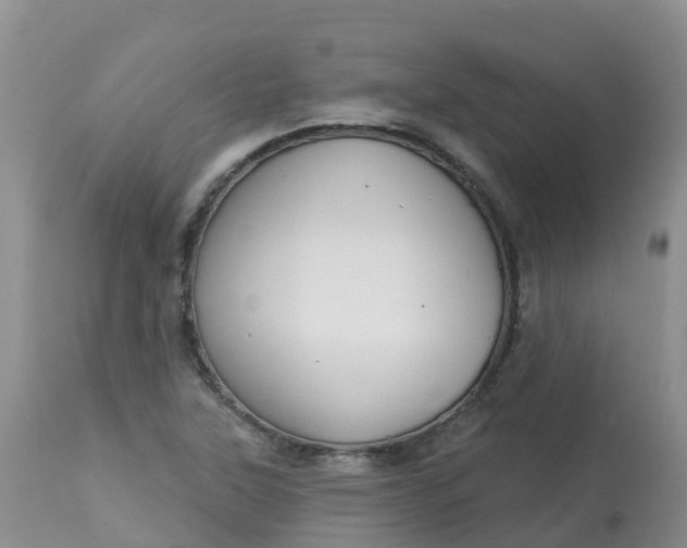 X0000113101315200909111042