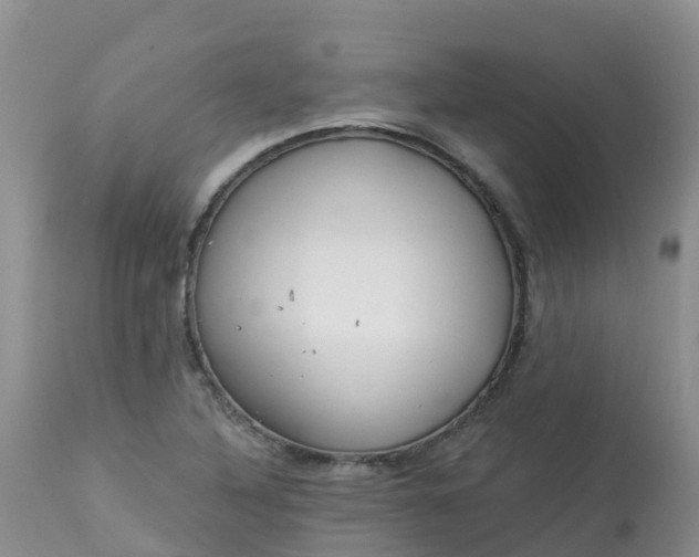 X0000113101316200909111042