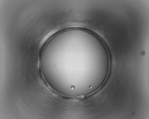X0000113101317200909111042