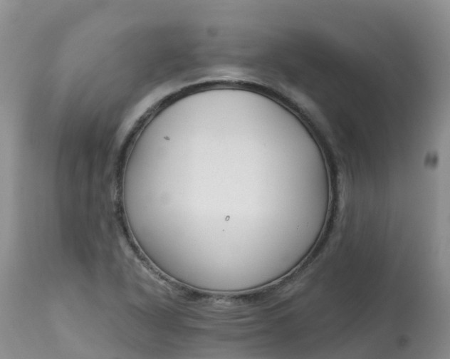 X0000113101318200909111042
