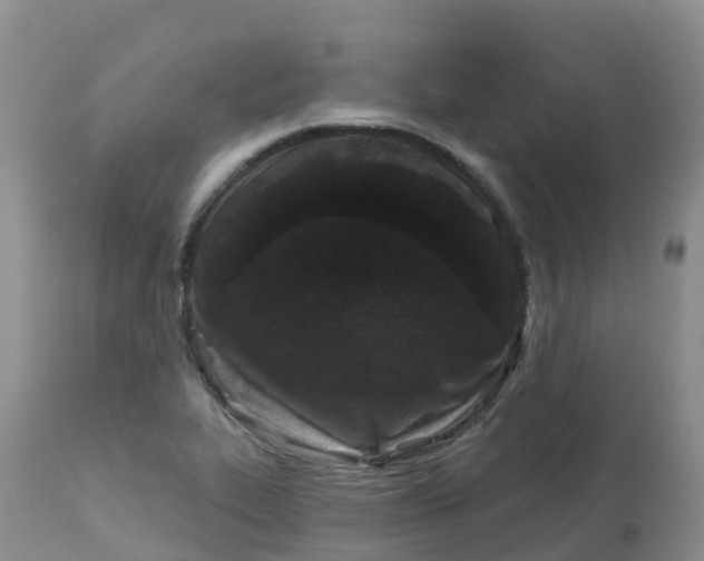 X0000113101319200909111042