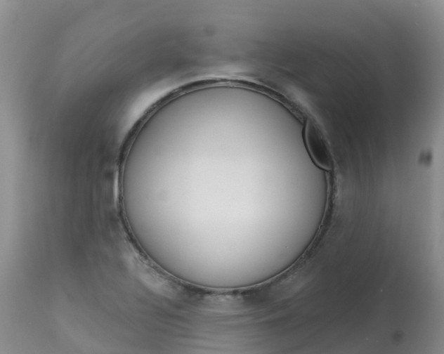 X0000113101320200909111042