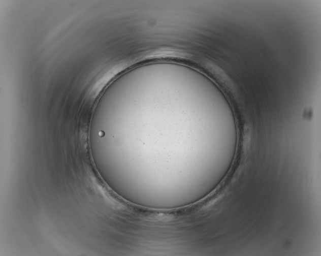 X0000113101321200909111042