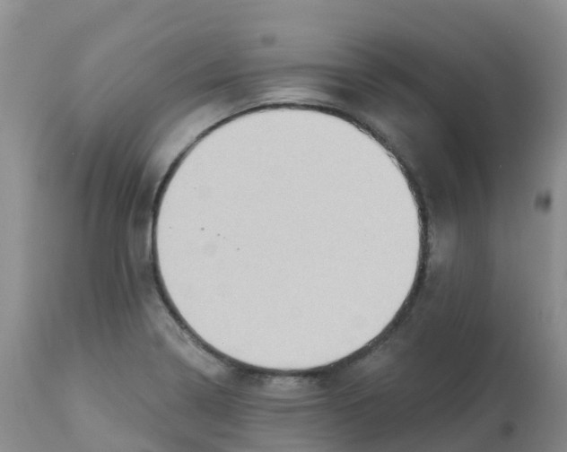 X0000113101322200909111042