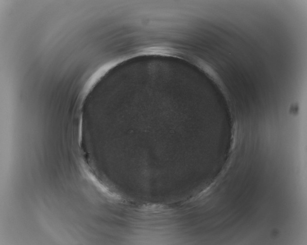 X0000113101323200909111042
