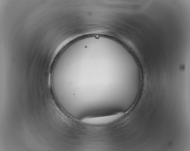 X0000113101324200909111042