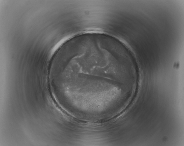 X0000113101325200909111042