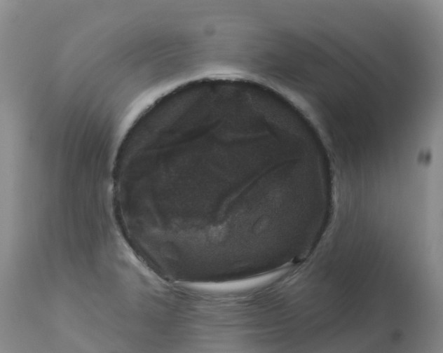 X0000113101327200909111042
