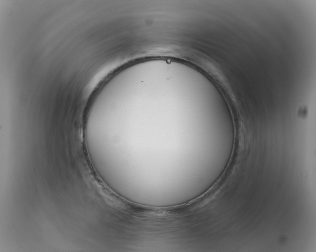 X0000113101328200909111042