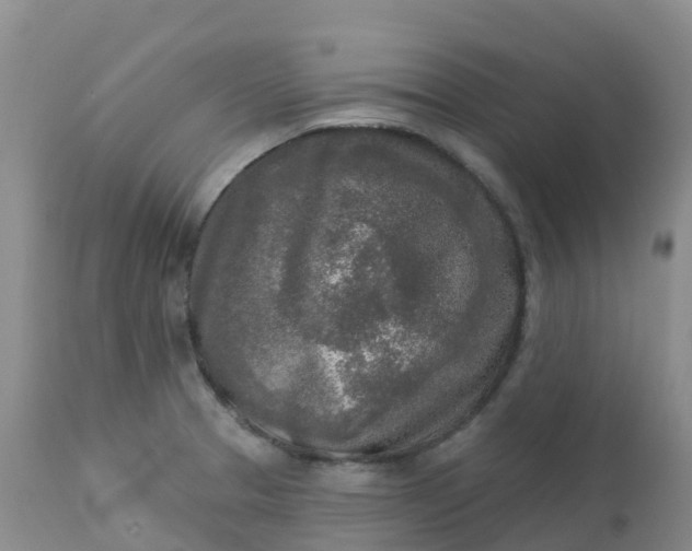 X0000113101329200909111042