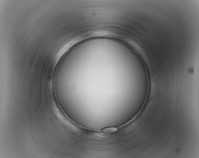 X0000113101330200909111042