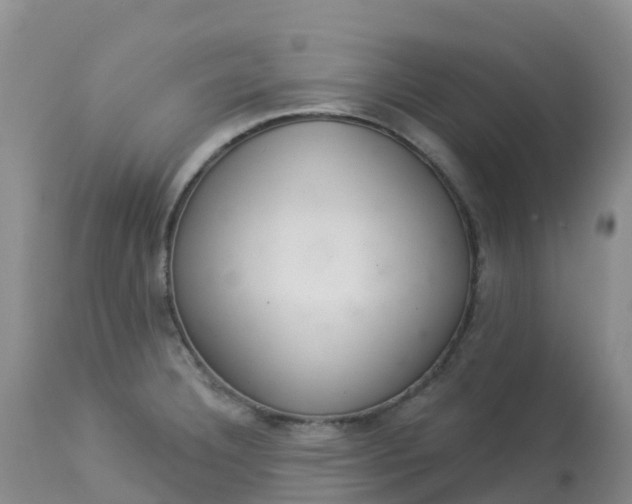 X0000113101332200909111042