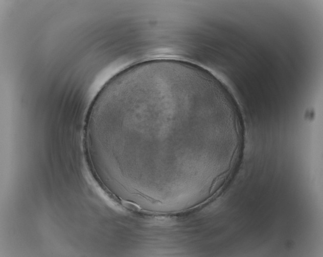 X0000113101333200909111042