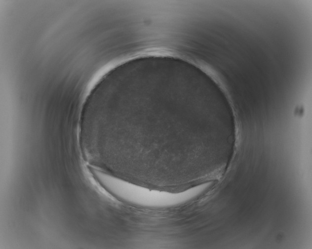 X0000113101334200909111042