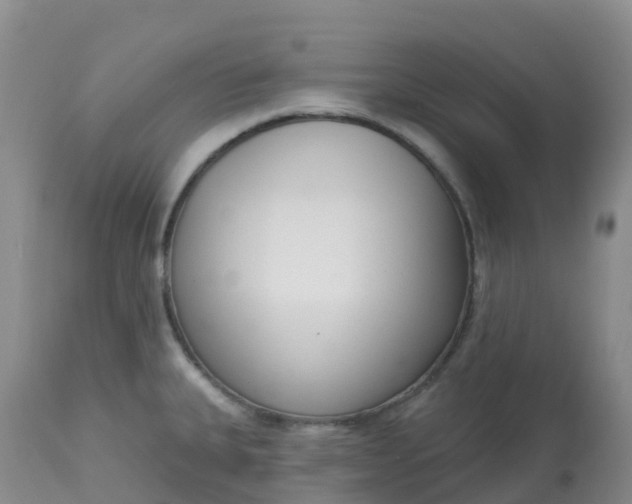 X0000113101335200909111042
