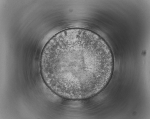 X0000113101338200909111042