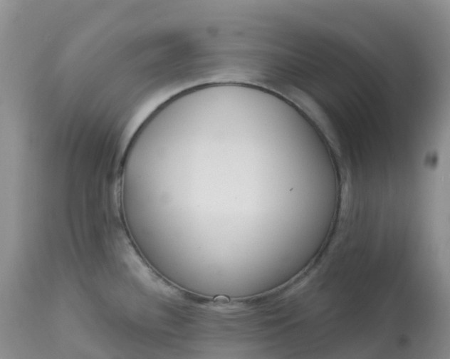 X0000113101340200909111042