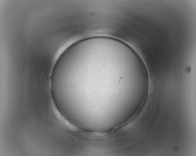 X0000113101341200909111042